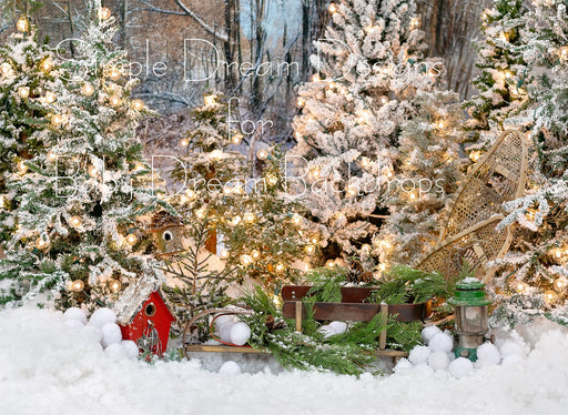 Fern Sleigh Lights
