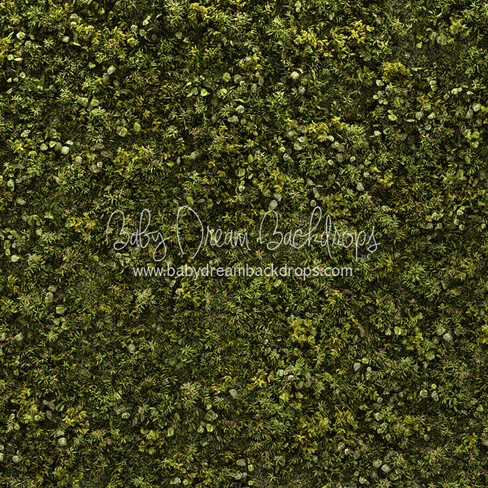 X Drop field grass cc