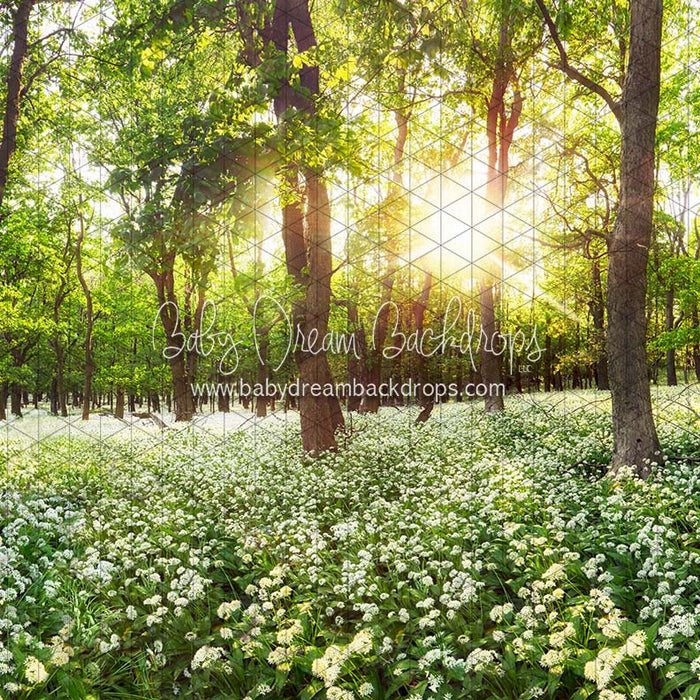 X Drop field to forest cc