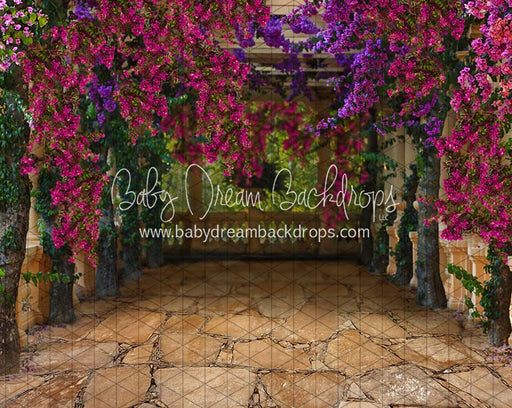 Fiesta Magic Path (CC)