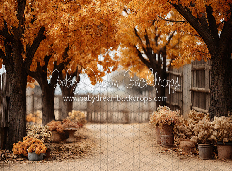 Find Me in Fall (JA)