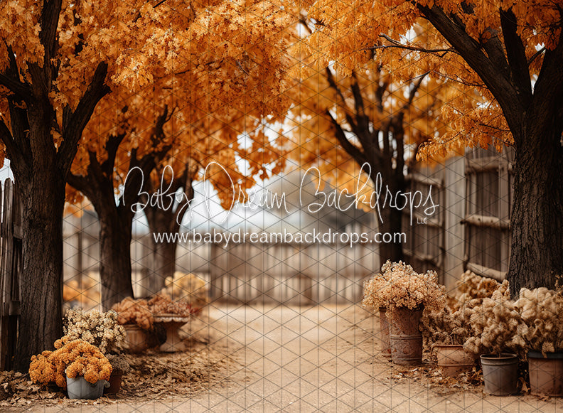 Find Me in Fall (JA)