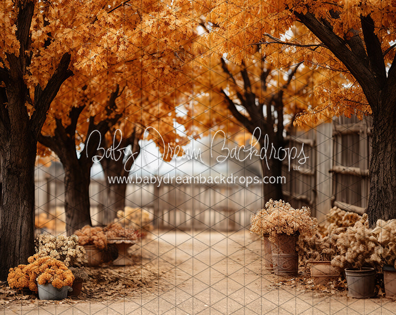 Find Me in Fall (JA)