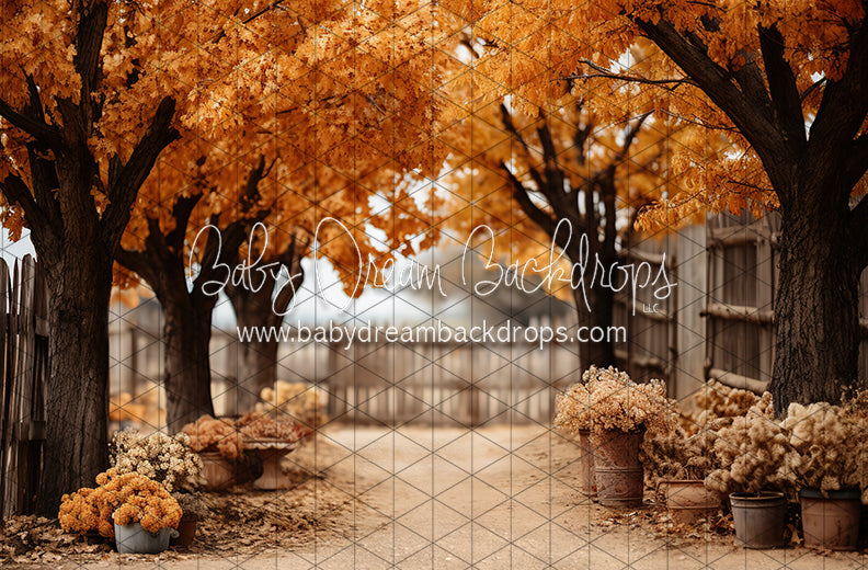 Find Me in Fall (JA)