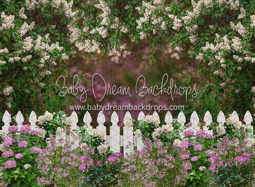 First Blooms of Spring (Full Fence) (CC)