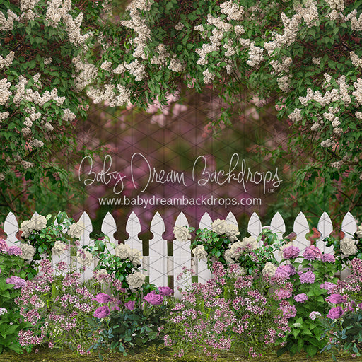 First Blooms of Spring (Full Fence) (CC)