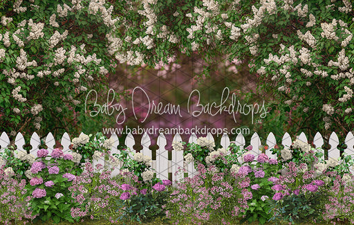 First Blooms of Spring (Full Fence) (CC)