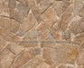 Flagstone Favorite (CC)