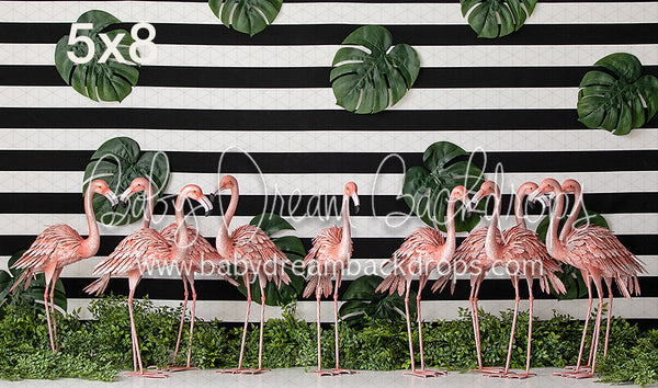 Flamingo Gathering