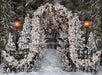 Flocked Forest Gateway Lights