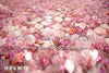 Pink Petals Floor Fabric Drop (SM)