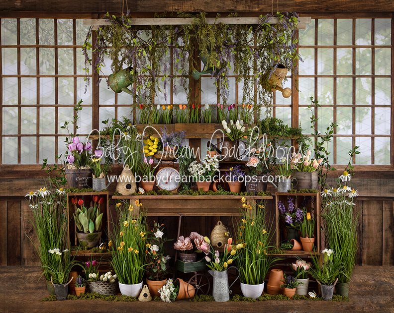 Flower Shack (JA)
