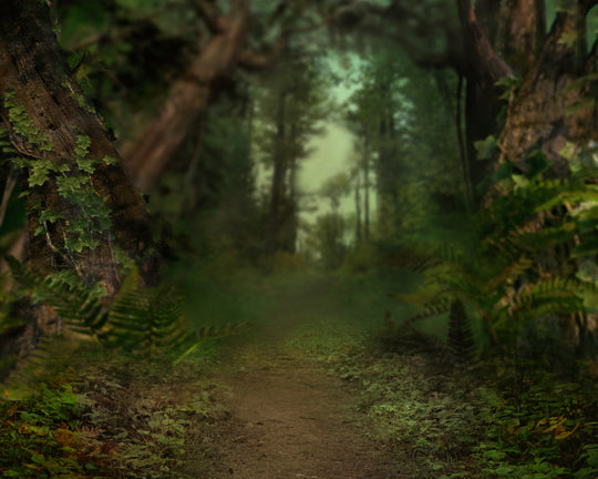 Forest Wonder - 8x10 - CC 