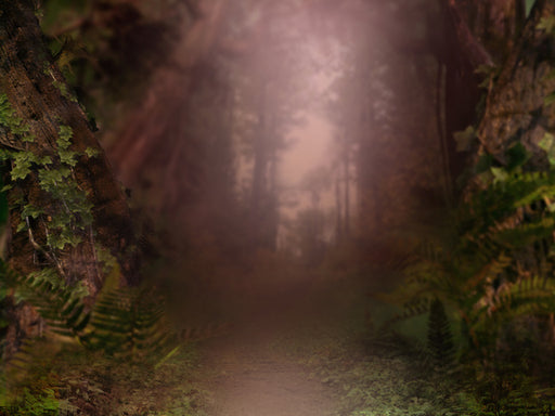 Forest Wonder Warm - 60Hx80W - CC  