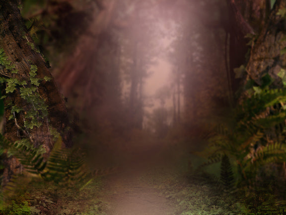 Forest Wonder Warm - 60Hx80W - CC  