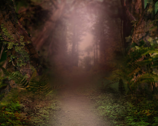 Forest Wonder Warm - 8x10 - CC 