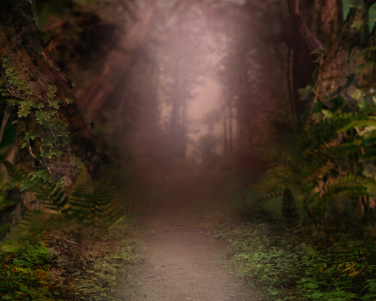 Forest Wonder Warm - 8x10 - CC 