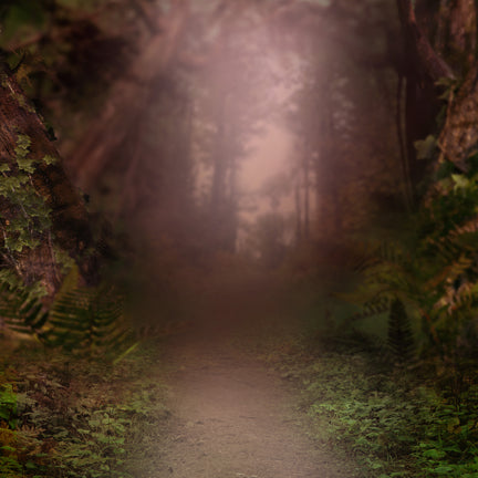 Forest Wonder Warm - 8x8 - CC