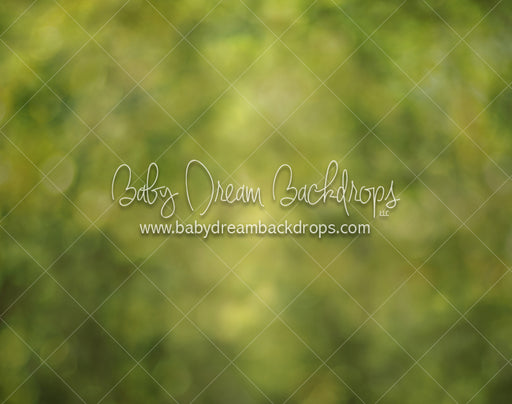 Forest Bokeh