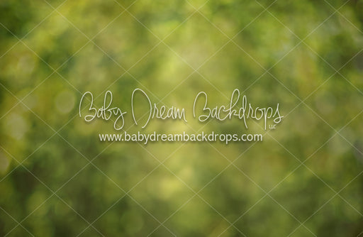 Forest Bokeh