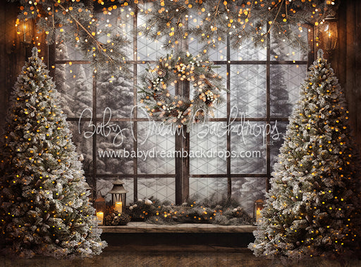 Forest Glow View (JA)