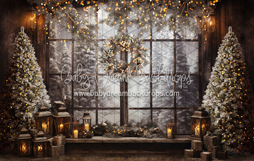 Forest Glow View (JA)