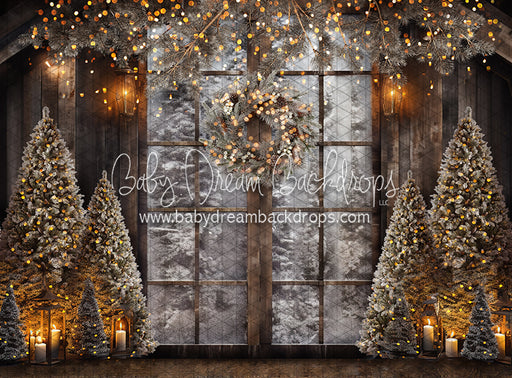 Forest Glow View Door (JA)