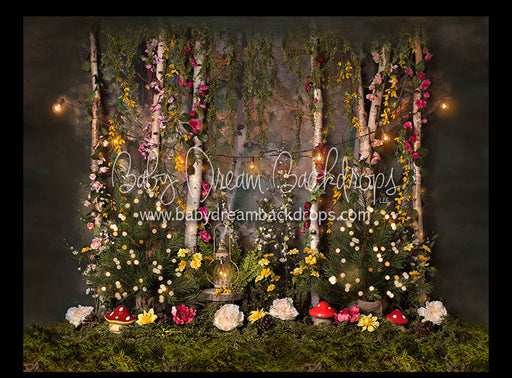 Forest Glow - 6x8 - BS  