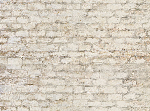 Forgotten Wall 3 - 60x80 Horizontal  