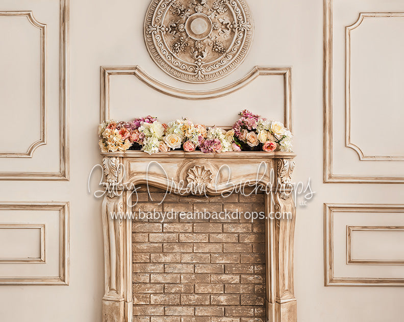 Formal Fireplace - 8x10 - CC 