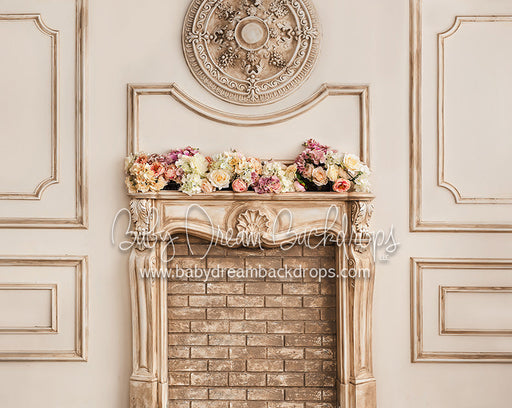 Formal Fireplace - 8x10 - CC 