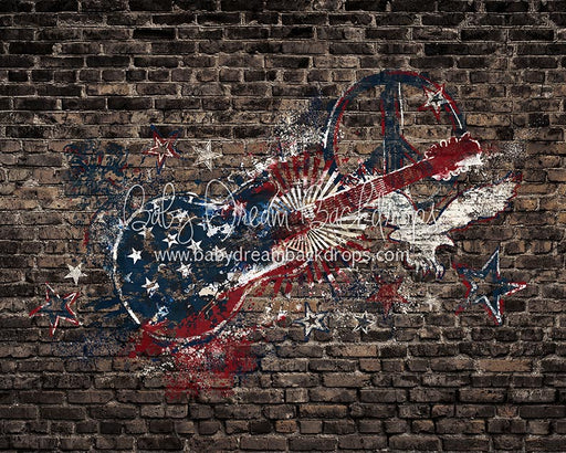 Freedom Rocks - 8x10 - CC (Fleece)