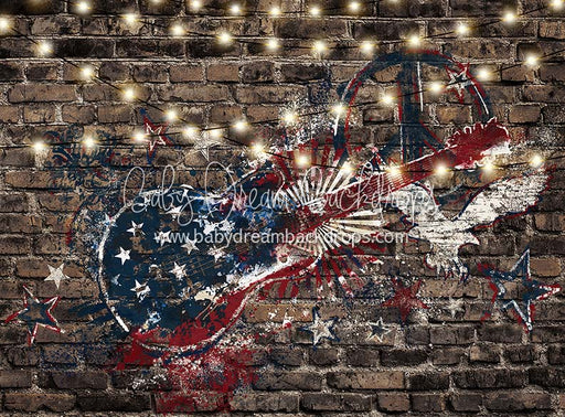 Freedom Rocks Lights - 60Hx80W - CC original fleece