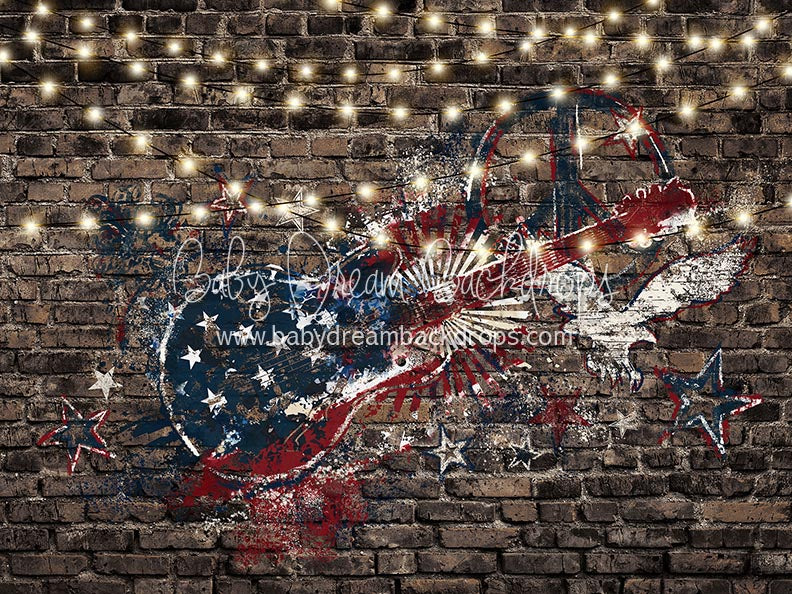 Freedom Rocks Lights - 6x8 - CC (Fleece)