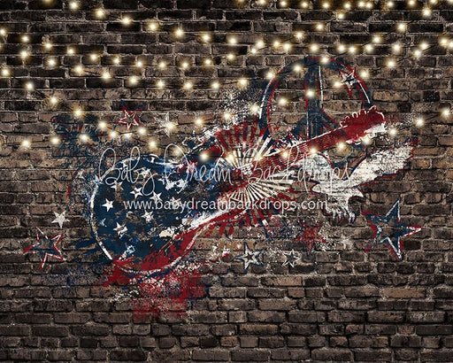 Freedom Rocks Lights - 8x10 - CC (Fleece)