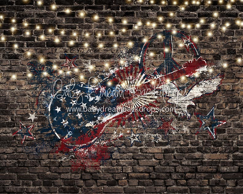 Freedom Rocks Lights - 8x10 - CC (Fleece)