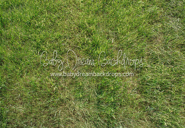 Fresh Bright Spring Grass Floor
