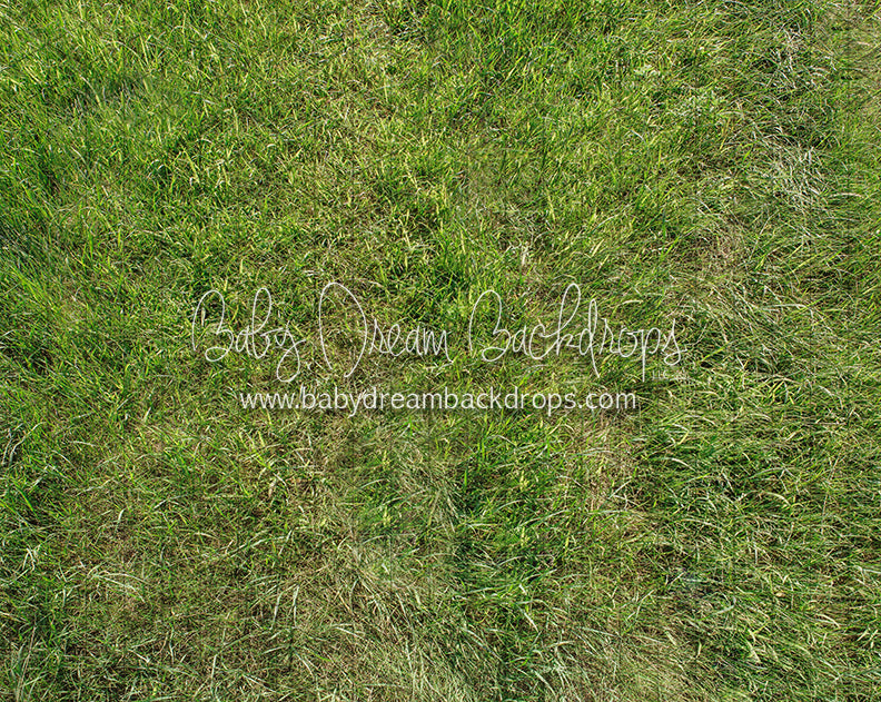 Fresh Bright Spring Grass Floor