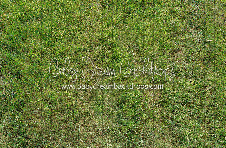 Fresh Bright Spring Grass Floor