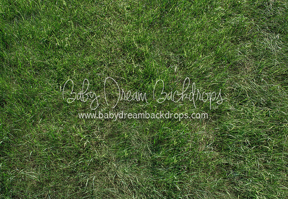 Fresh Spring Grass Floor