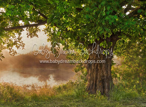 Front Yard Fairytale