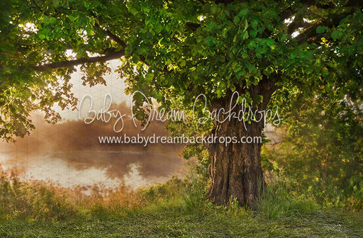 Front Yard Fairytale