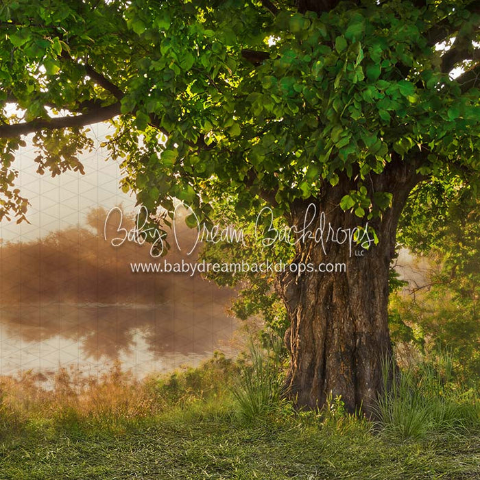 X Drop front yard fairytale