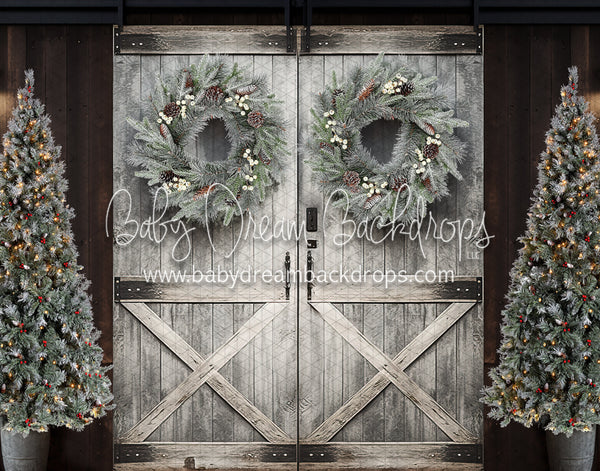 Frosted Barn Doors (KR)