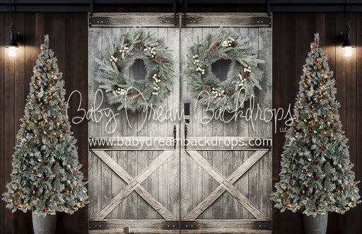 Frosted Barn Doors (KR)