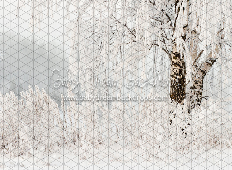 Frosted Fantasy (CC)