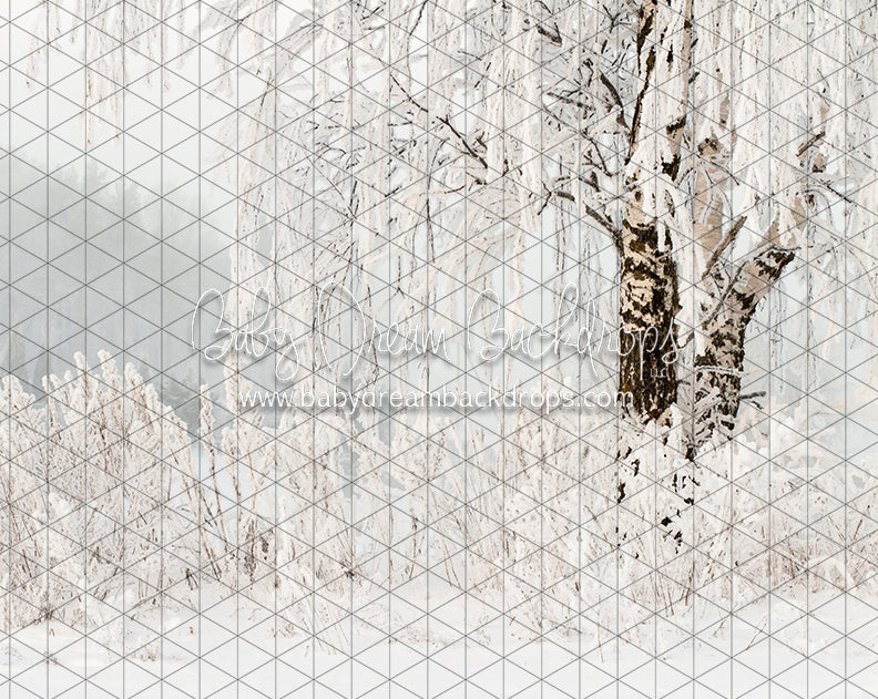 Frosted Fantasy (CC)