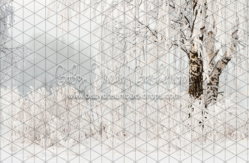 Frosted Fantasy (CC)