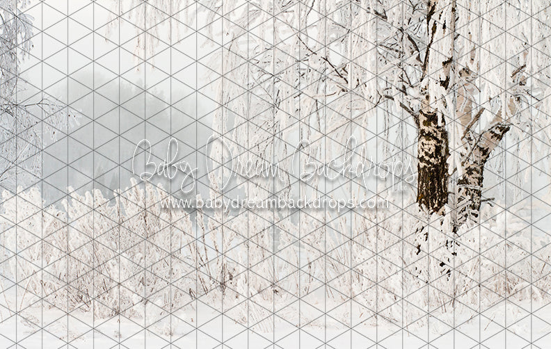 Frosted Fantasy (CC)