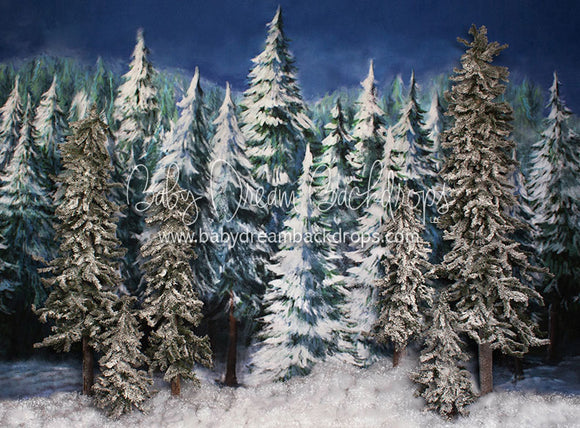Frosted Forest - 60Hx80W - JA  